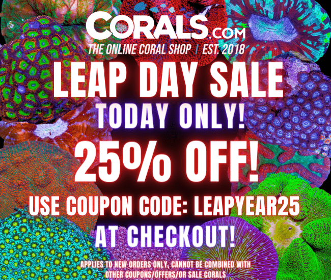 For Sale ***LEAP DAY SALE! TODAY ONLY! Coupon Code Here!
